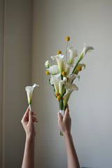 چلچراغ
